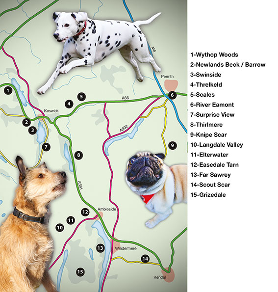 overall map of Dog Friendly Pub Walks in the Lake District