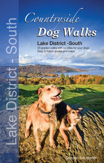 Countryside Dog Walks in Lake District South book cover