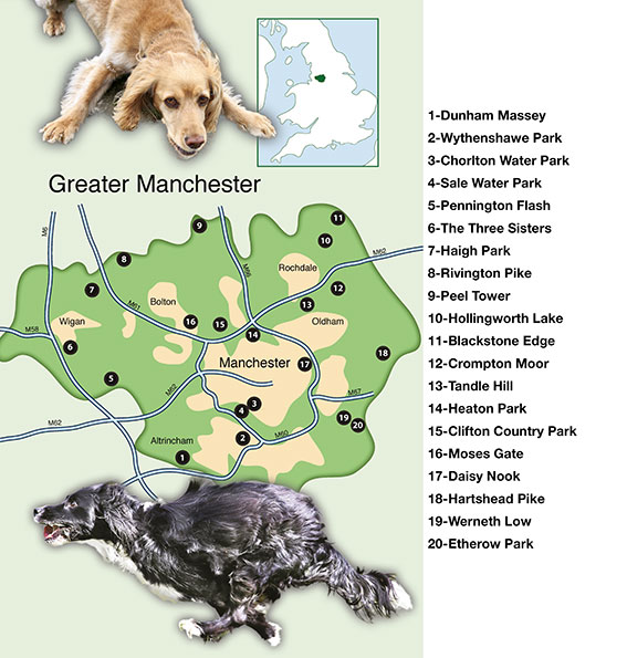 overall map of Countryside Dog Walks in Greater Manchester