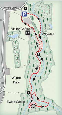sample map of a walk around Wepre Park