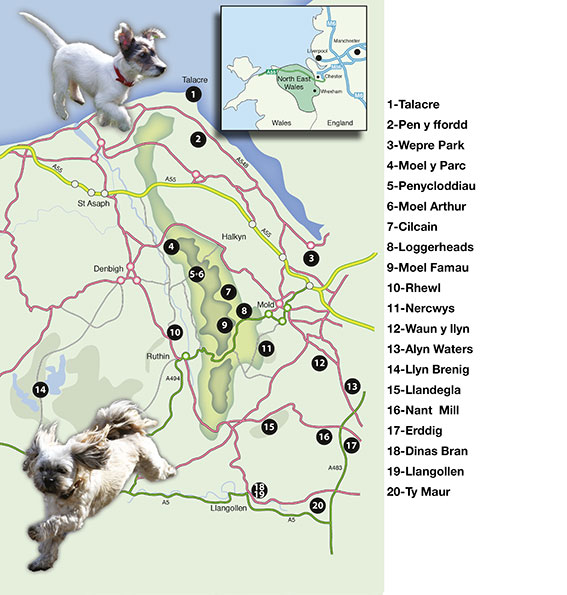overall map of Countryside Dog Walks Walks in the North East of Wales