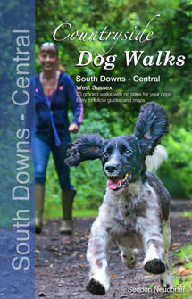 Countryside Dog Walks in South Downs Central book cover