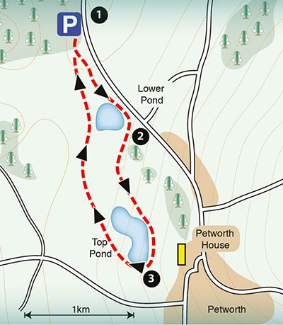 sample map of a walk around Petwoth House
