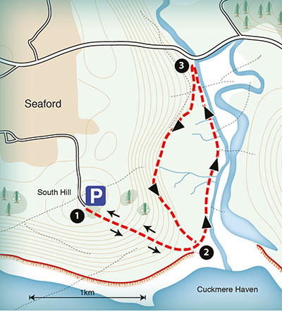 sample map of a walk around Seaford