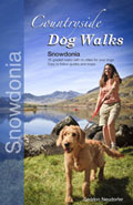 Countryside Dog Walks in Snowdonia book cover